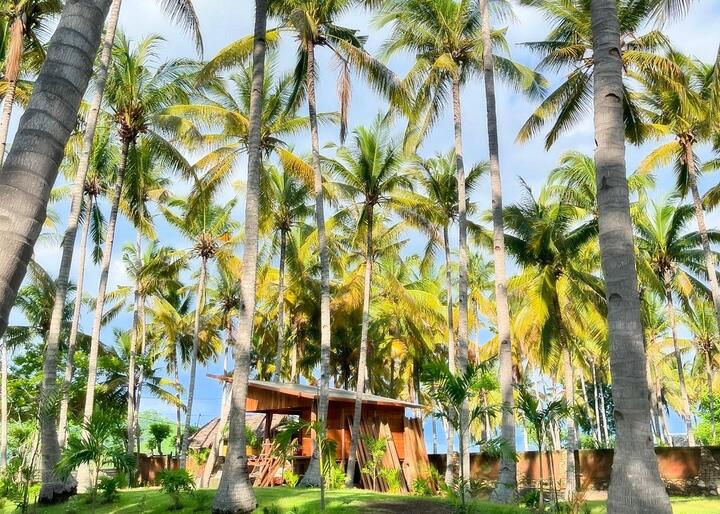 Paradise Workspace at Living on Air Coliving & Coworking Space