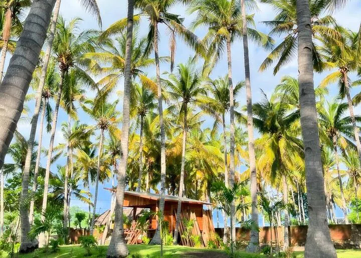 Paradise Workspace at Living on Air Coliving & Coworking Space